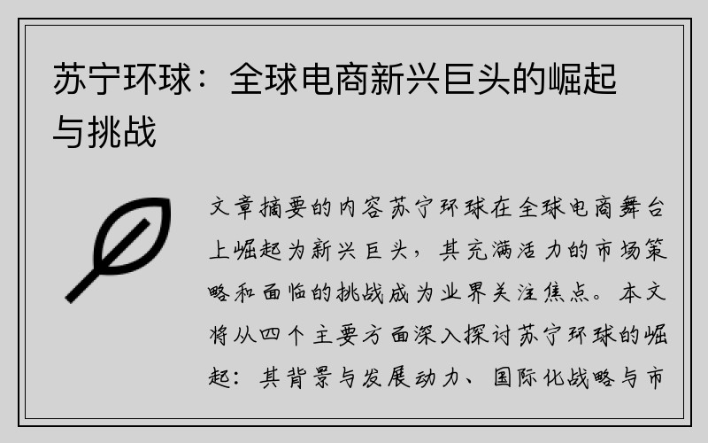 苏宁环球：全球电商新兴巨头的崛起与挑战